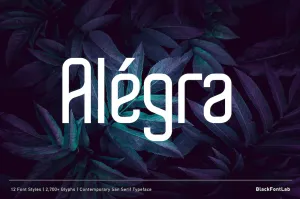 Alegra Regular - Free Modern Font