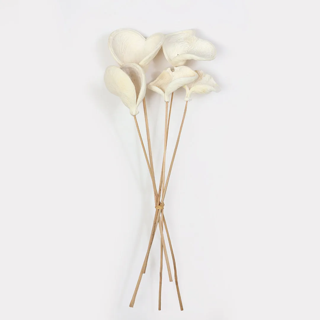 Badam Stems Set of 5