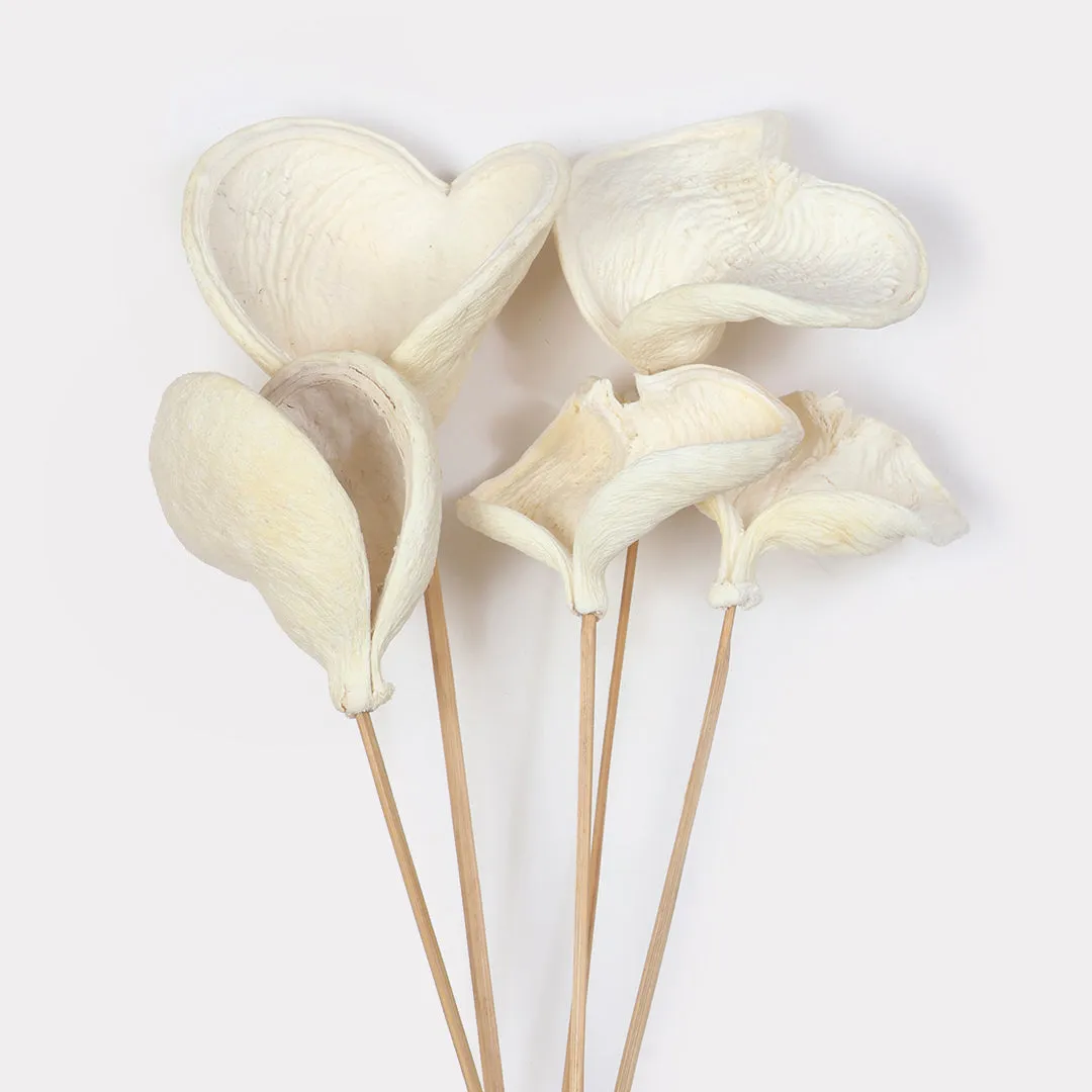 Badam Stems Set of 5