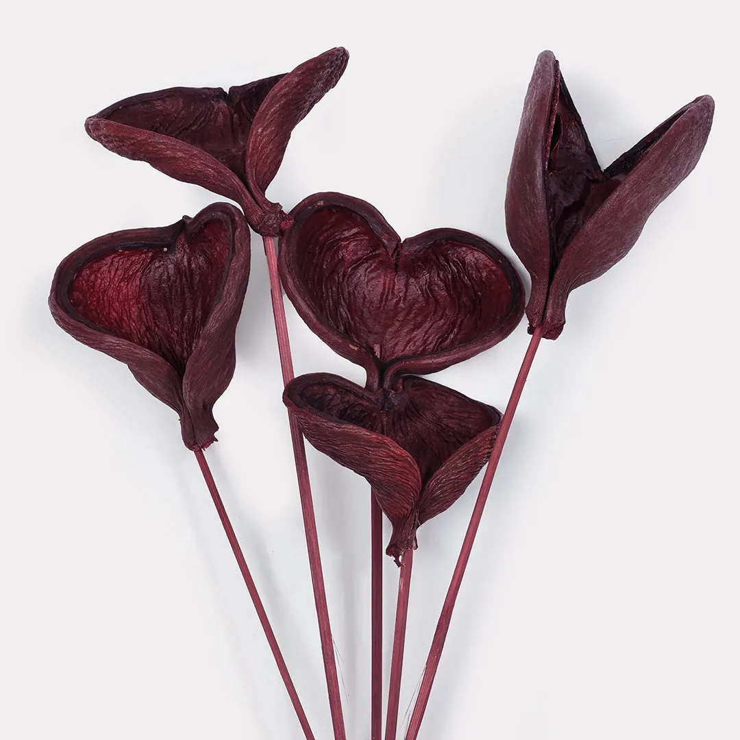 Badam Stems Set of 5