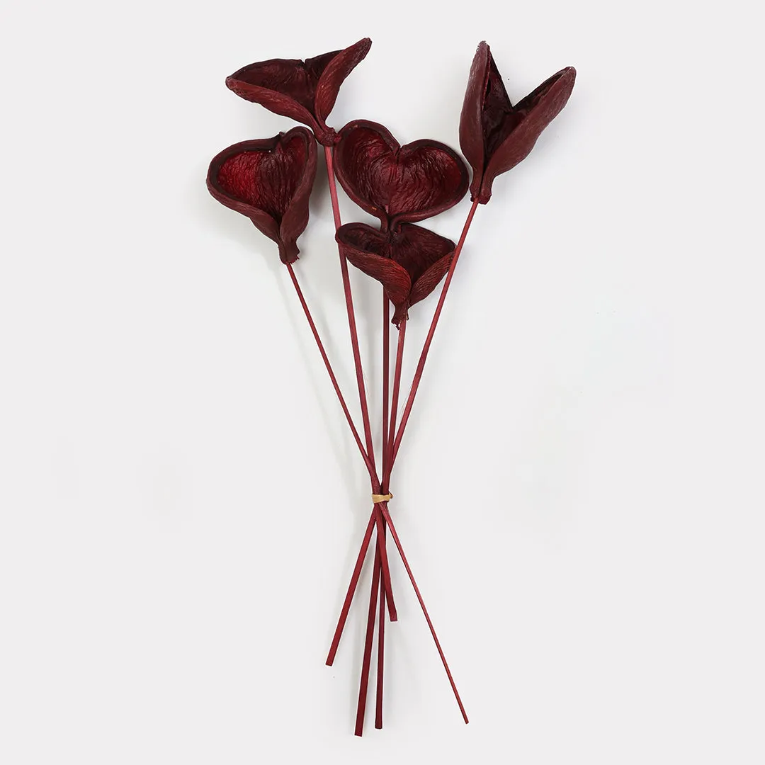 Badam Stems Set of 5