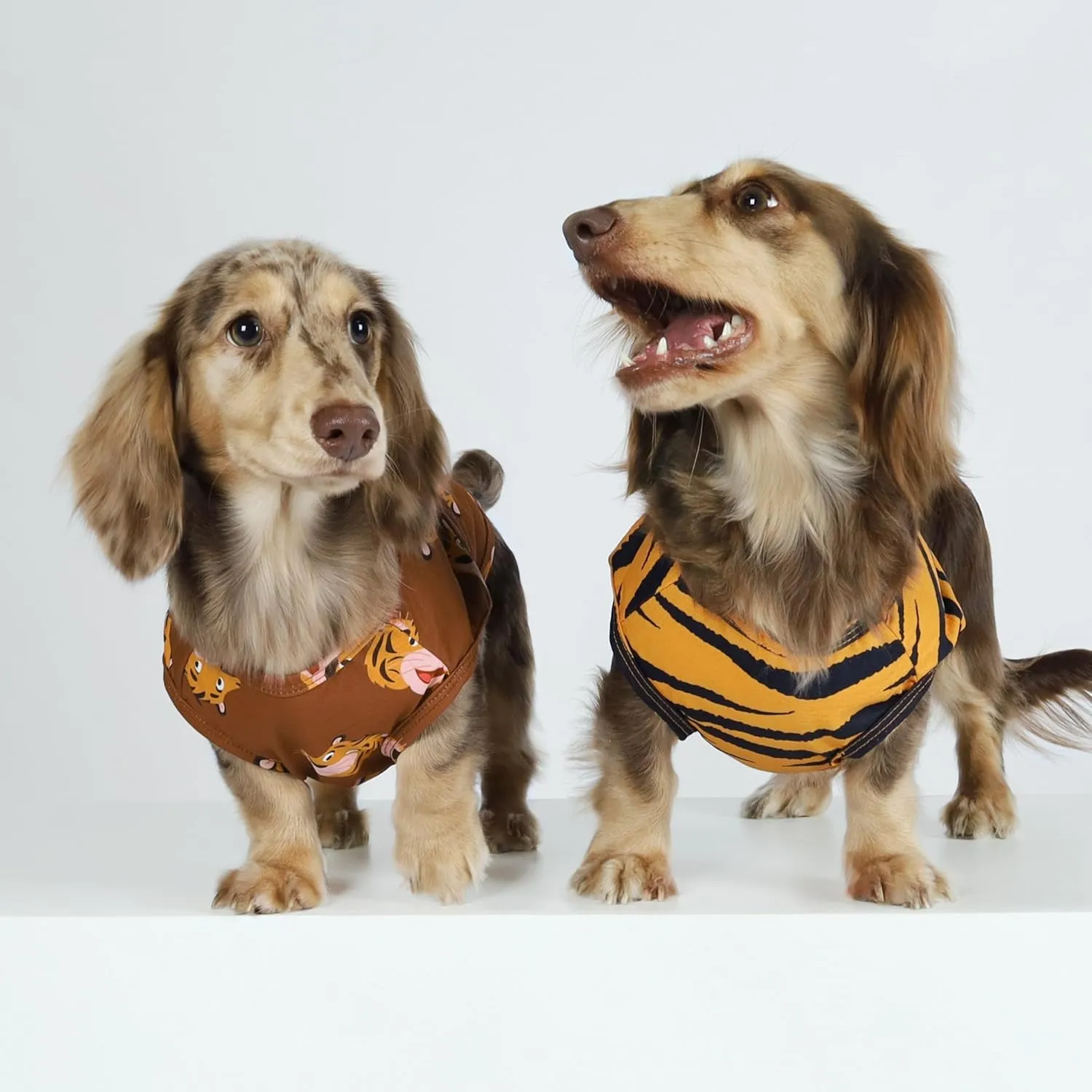 Fitwarm Tiger Dog Shirt, Summer Clothes for Small Dogs - Boy & Girl, Funny Costume T-Shirt, Pet Outfit in Yellow & Green, Large