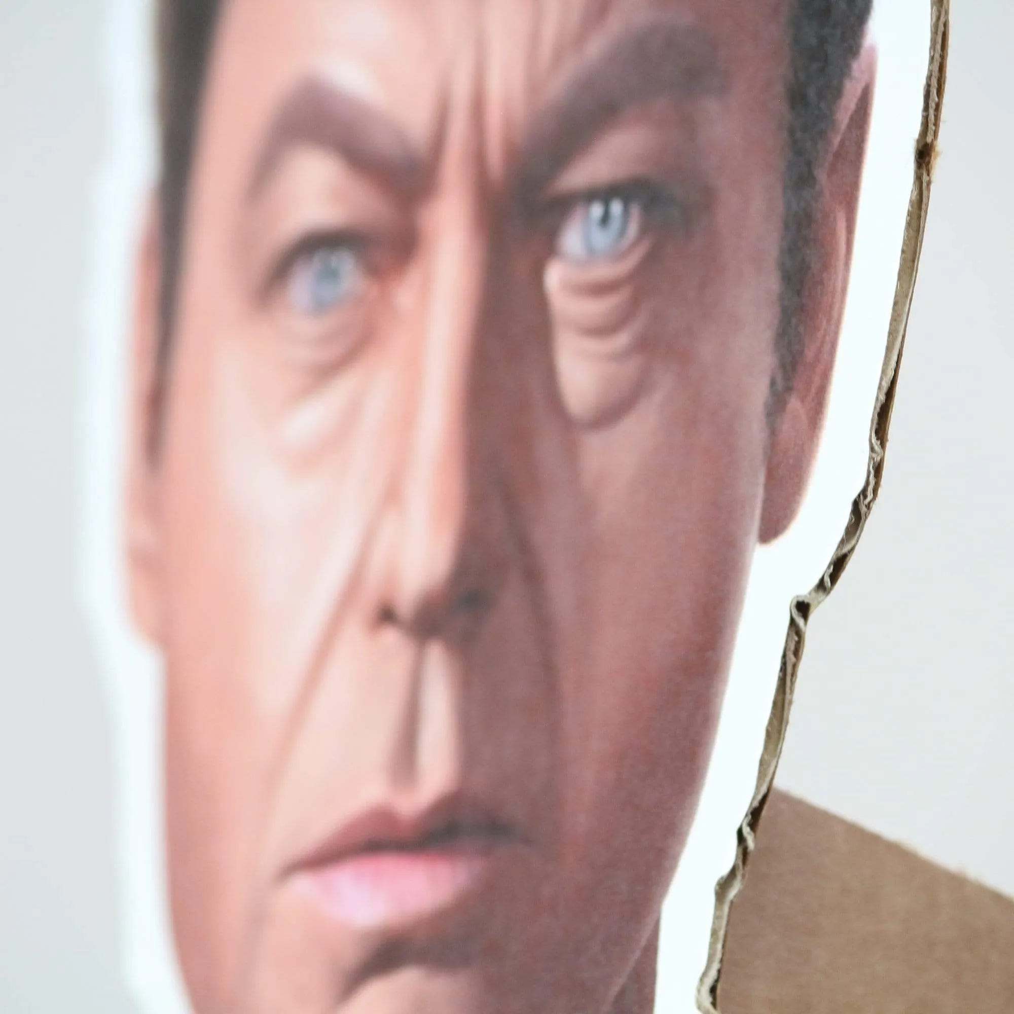 McCoy Life-Size Cardboard Cutout | Star Trek