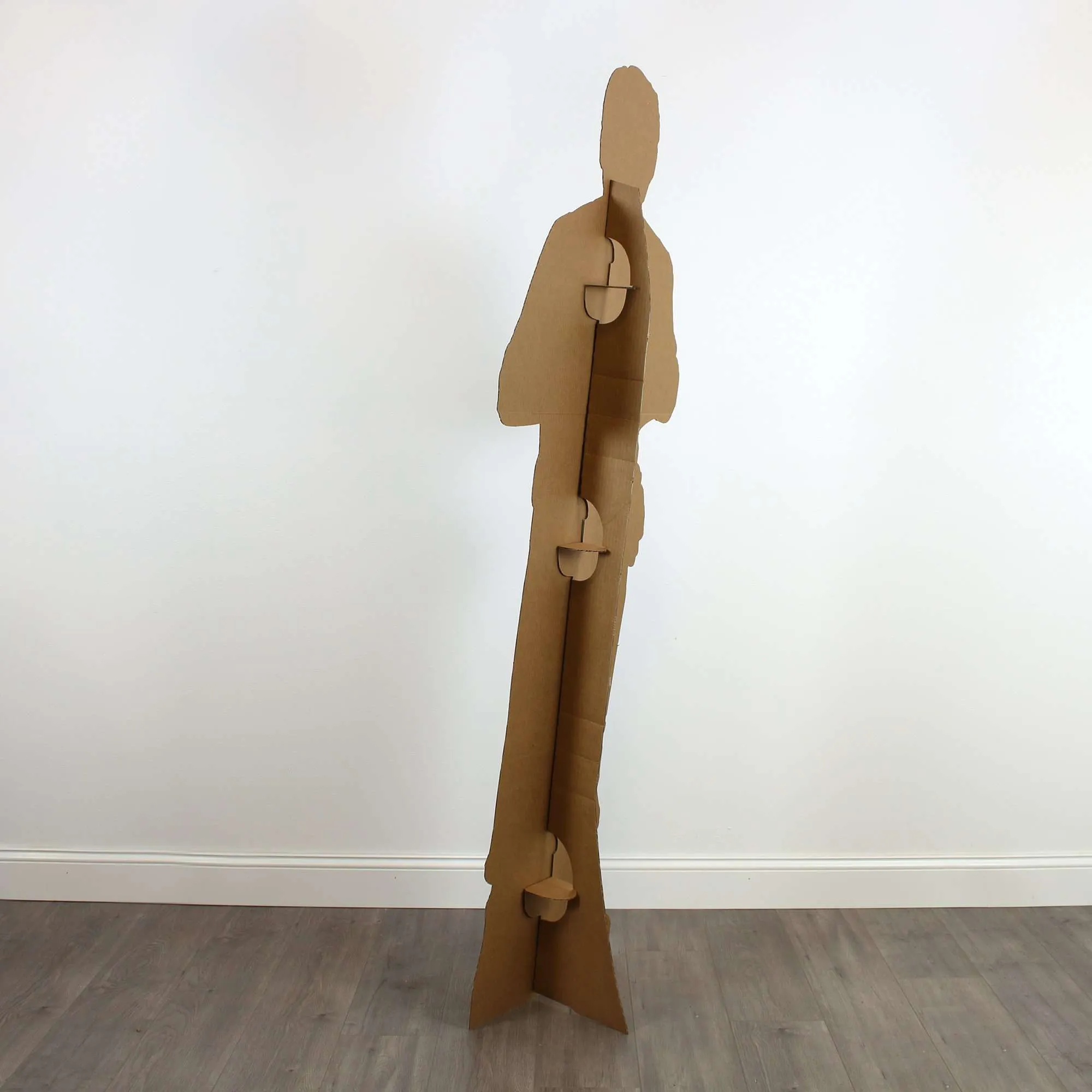 McCoy Life-Size Cardboard Cutout | Star Trek